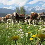Nyaraló Mandlhof *