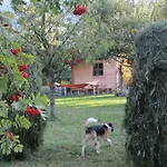 Mandlhof Nyaraló *