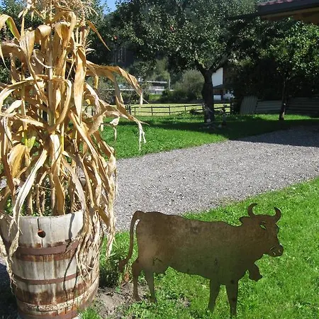 Semesterbostad Mandlhof Weer