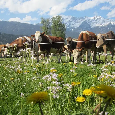 Σπίτι διακοπών Mandlhof *